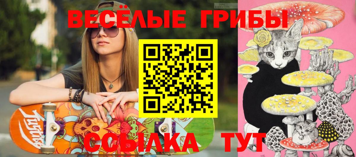 Соликамск  сколько стоит  Галлюциногенные грибы ЛСД  Вход с VPN  Галлюциногенные грибы Psilocybine cubensis 